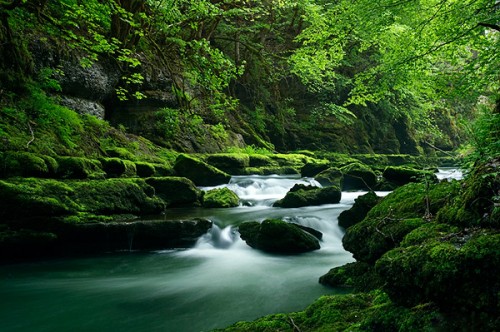 Ecodeau propose des systèmes simples permettant d'économiser 50% sur votre facture d'eau.